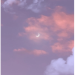 •moonlight •