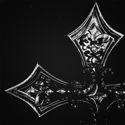 𝑋