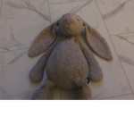 The bunny and turtle group