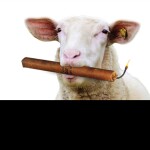 dangerous smitt-bitions!