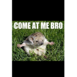 Memez 4 dayz