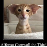 Alfonso Cornwall the Third