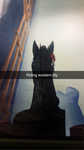 Camp/Pony Club group for Charmmy Stables