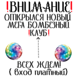 хейтеры даши