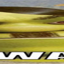 🤪swampf🤪