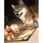 Money for Kaiden