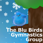 The Blu Birds Gymnastics Group