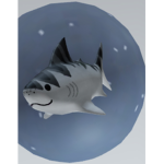 The random shark group