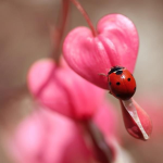 maisincerity