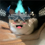 rv'