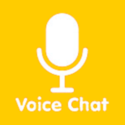 🔊 Voice Chat FR ( MIC UP France )
