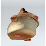 Hamsters getting Griddy