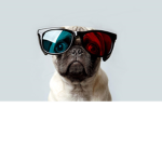 !!!ThePugSquad!!!