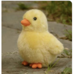 Baby duckies bro