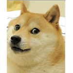 Rapidpandadude's Fan Group