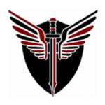 The Light Warriors Divisions