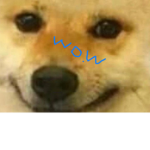 The Canadian doge Army