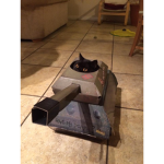 CATS UNITED (WAR)