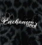 Enchanted Soul
