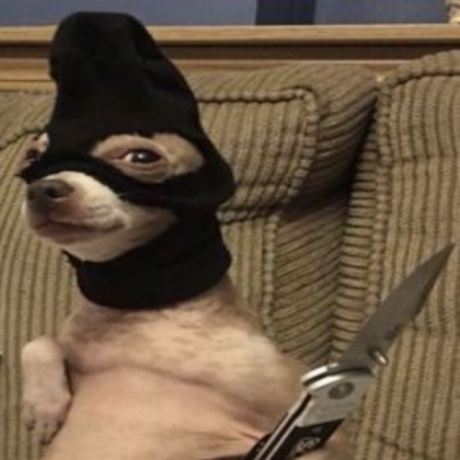 this dog this dog this dog is dangerous Roblox decal