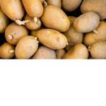 PotatoSquad biss