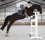 | * pinto’s white mare academy * |