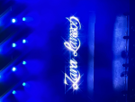 Zara larsson loves