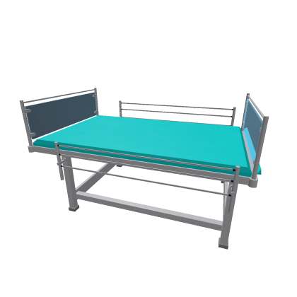 Hospital Bed 