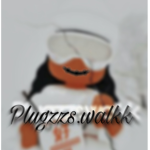 Plugzzs.walkk