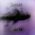 Sunset Sharks