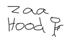 ANARCHY ZH