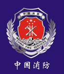 [Tianjin Fire Rescue Corps] 中国消防救援总队