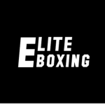 Elite Boxing | In Dev