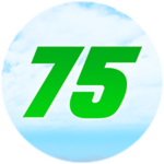 Level 75