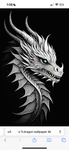 THE CRXY DRAGONS