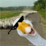 Epik Goose Army