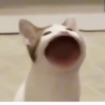 pogcat