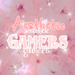 ~The Aesthetic Gamers~