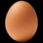 eggs cool group