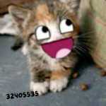 rawrr :3