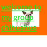 GreatChihuahuaYT Fan Group