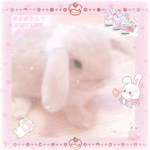୨୧ bunni