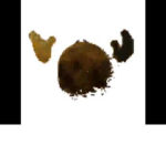Enchanted Yellow Shields EYS