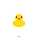 The_Ducky_group