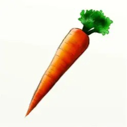 Plant Carrots [🥕]