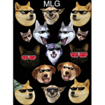 Lazer doge club