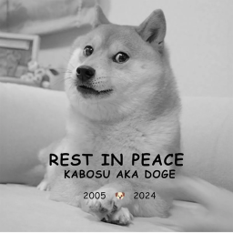 Rip doge OBBY