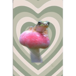 ~ｆｒｏｇｇｉｅｓ~
