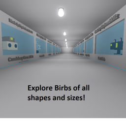Birb Museum