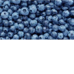 Blueberry Bluetooth